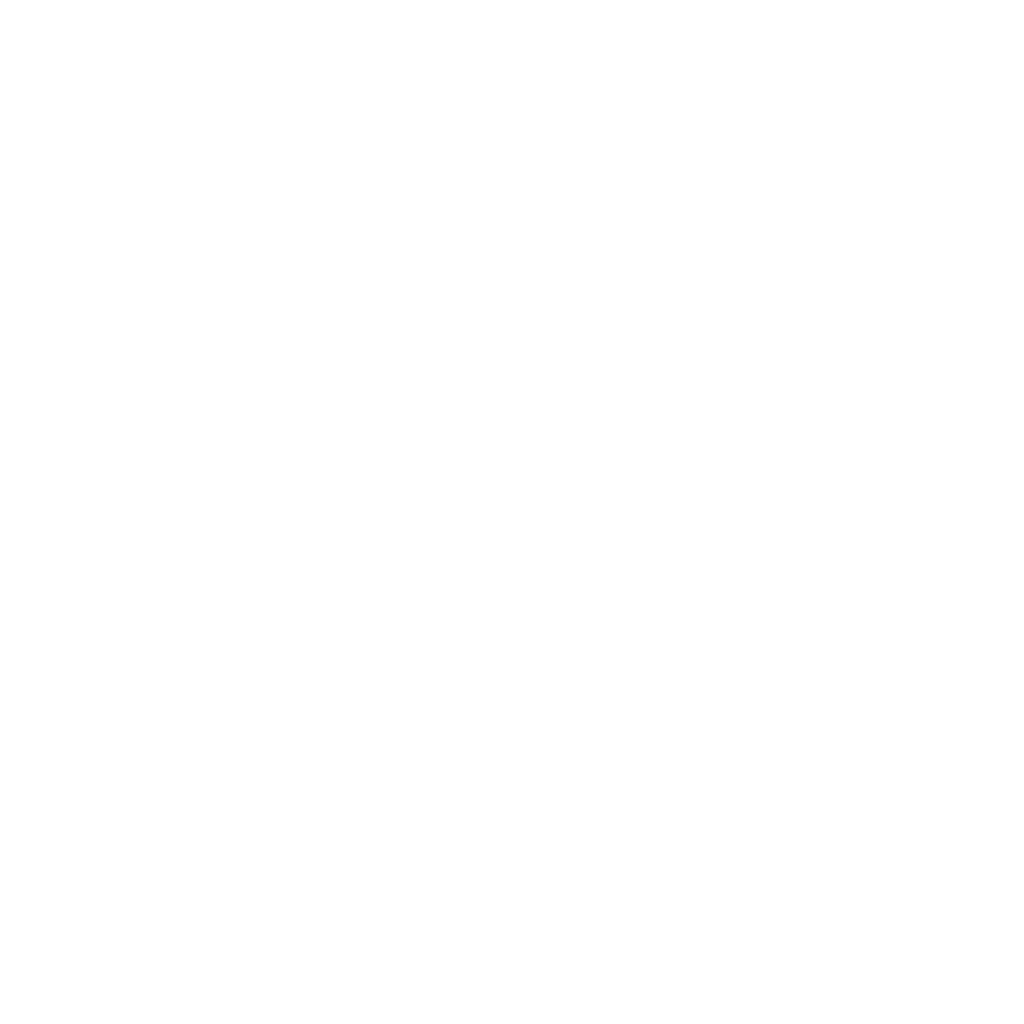 100% Autotjek